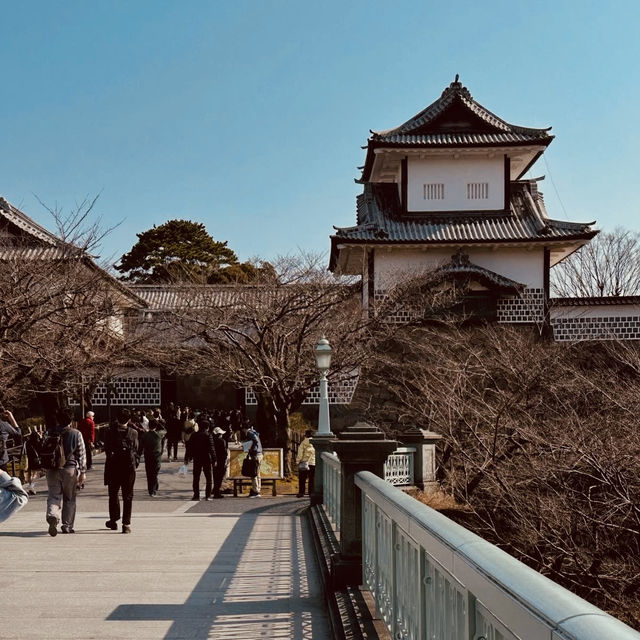 🏯 Kanazawa Castle Summer Survival Guide** *"Where stone walls stay cool and gold leaf shimmers in t