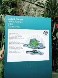 Step into Jurassic Wonder at Cloud Forest SG – A Must-Visit Experience!