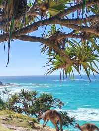 Brisbane, Australia — You Have to Visit North Stradbroke Island!
