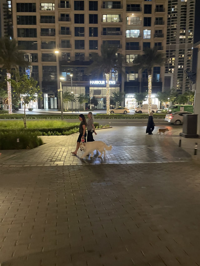 วิวดี นั่งจิบเครื่องดื่มสวยๆ มองวิวเพลินๆ ที่ดูไบ