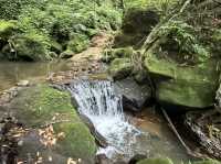 草山觀瀑吊橋。猴崁圳古道