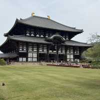 📍Day Trip from Osaka: Nara & Uji ✨
