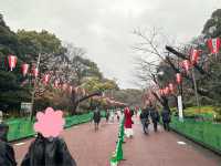 🔥「東京初見櫻花大爆發！穿越歷史畫卷的上野恩賜花園」