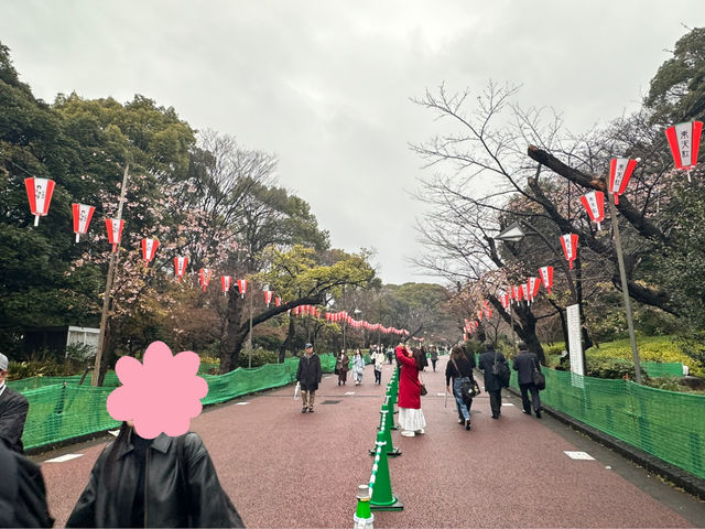 🔥「東京初見櫻花大爆發！穿越歷史畫卷的上野恩賜花園」