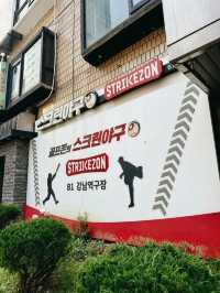 Baseball experience