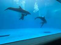 上越市立水族博物館（色調非常漂亮）