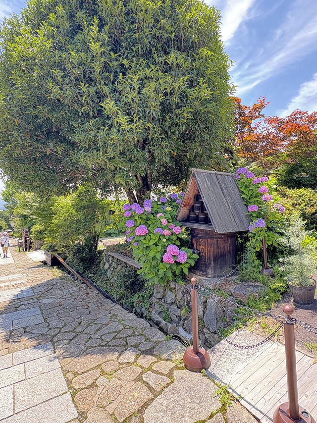 自然を感じられる岐阜のオススメスポット