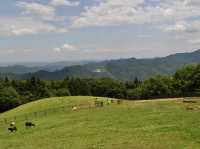 Vườn cừu