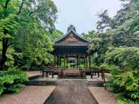 京都 | 梨木神社，開滿幸運草和名水的靜謐神社