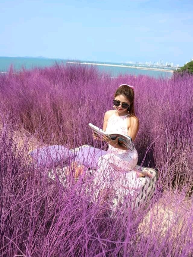 Papa Beach Pattaya 