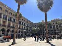 【Pl. Reial（Plaça Reial）｜ガウディ照明が彩るゴシック地区の陽だまり広場】