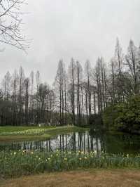 Spring at Prince Bay Park 
