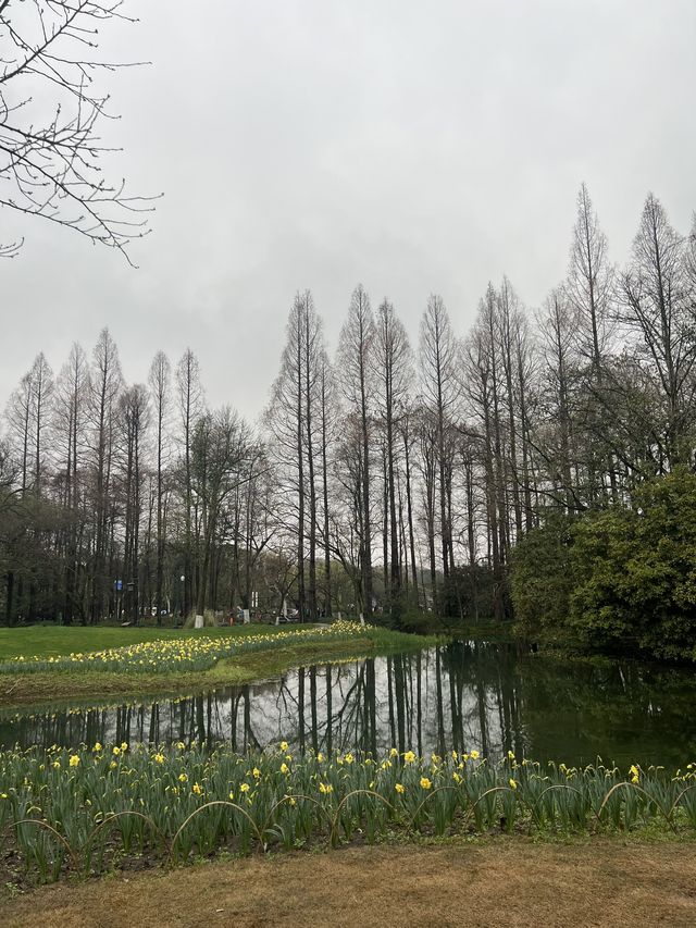 Spring at Prince Bay Park 