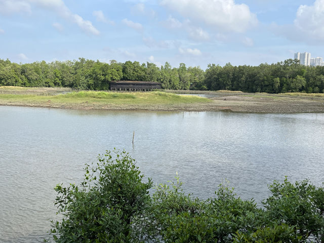 🌿 Morning Escape to Nature at Sungei Buloh Wetland Reserve 🐊🦅🌞