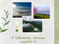 🌿 “ภูชี้ฟ้าหน้าฝน – เขียวละมุน อบอุ่นหัวใจ” 🌿