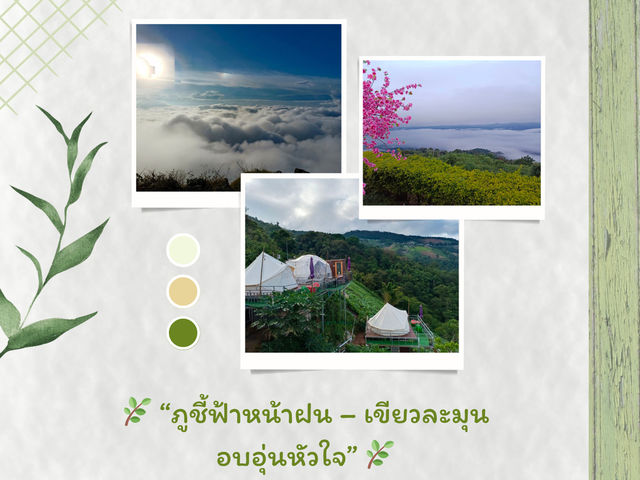 🌿 “ภูชี้ฟ้าหน้าฝน – เขียวละมุน อบอุ่นหัวใจ” 🌿