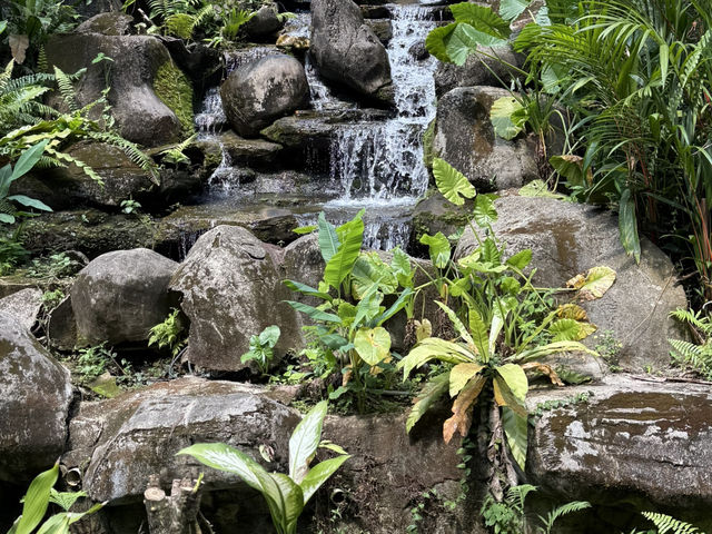 Peaceful escape in the heart of Kuala Lumpur 🌿