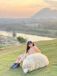 คาเฟ่  ฟาร์มแกะในเมืองเชียงราย ABONZO