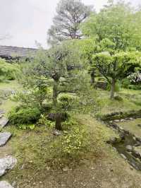 TAKAYAMA JINYA.