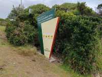 坎贝尔港（Port Campbell）—大洋路上的悠闲小镇
