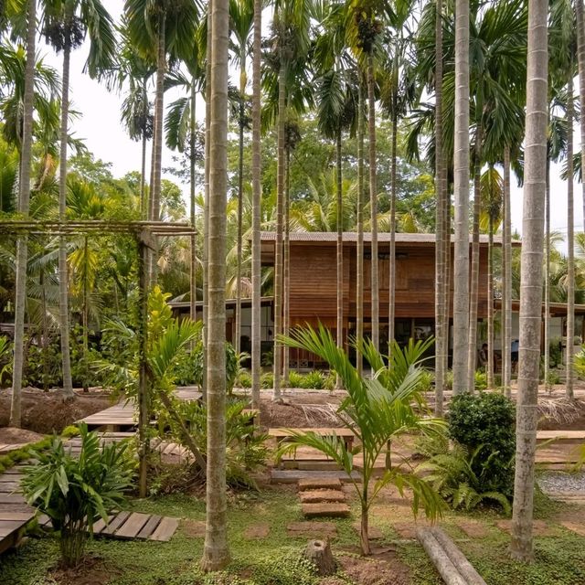 ฌาณหมาก Coffee & Farm 🌴