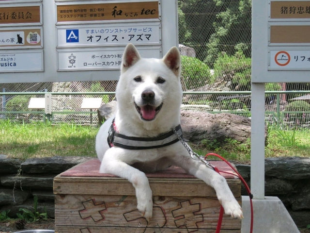 和歌山景點｜和歌山城腳下的親子動物園—和歌山城公園動物