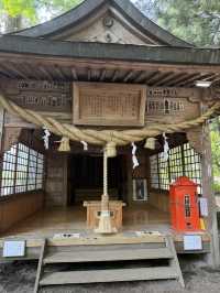 Day two in YUFUIN 