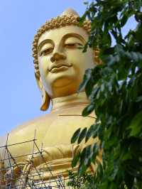 48 Hours in Bangkok : Temples, Toast & Tuk-Tuks (Itinerary)