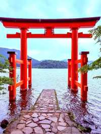 A Stunning Sight at Hakone Shrine’s Torii Gate