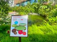Splash into colors at Crimson Wetlands!