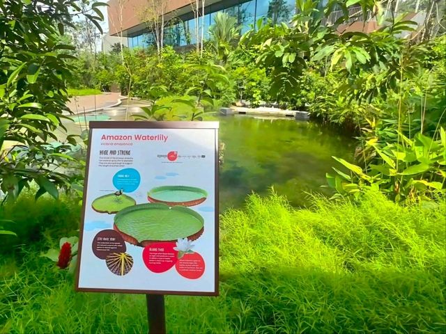 Splash into colors at Crimson Wetlands!