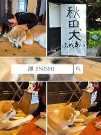 【秋田県🇯🇵】あなただけのハチ公物語がコンセプト