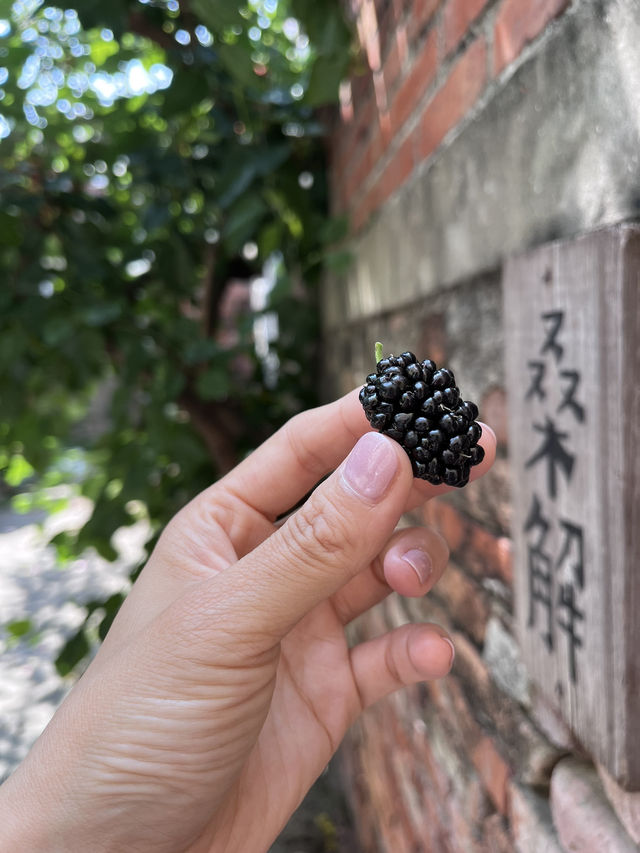 ⛪️🍣🥟🍜🍱🍡🍧☕️🍵🧋擁有美食與歷史文化兼具的台南