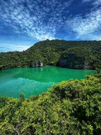 Emerald Surprise in the Middle of Nowhere 