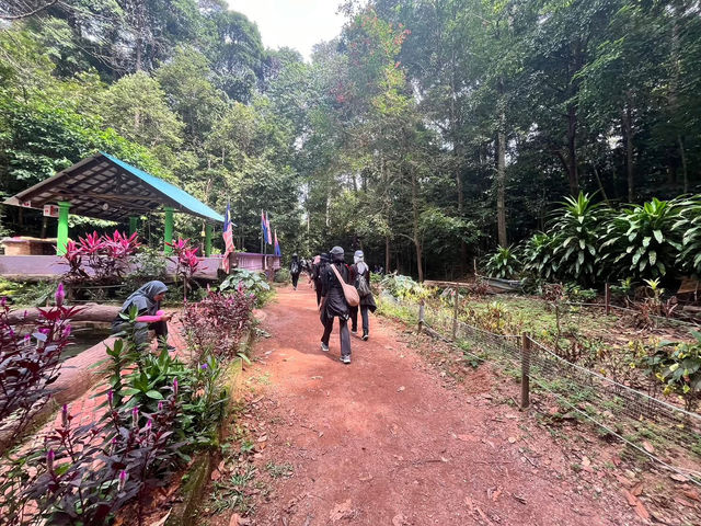 🏞 Gunung Lambak: Conquered the Jungle Beast!