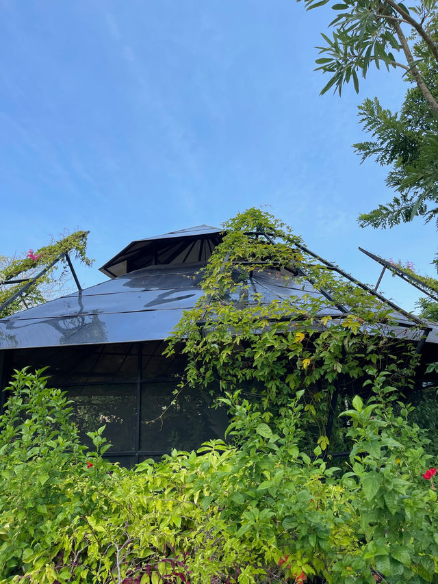 Magic Garden in Nuanu