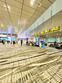 Glamour in Transit: Louis Vuitton & Bacha Coffee at Changi T3 Airside