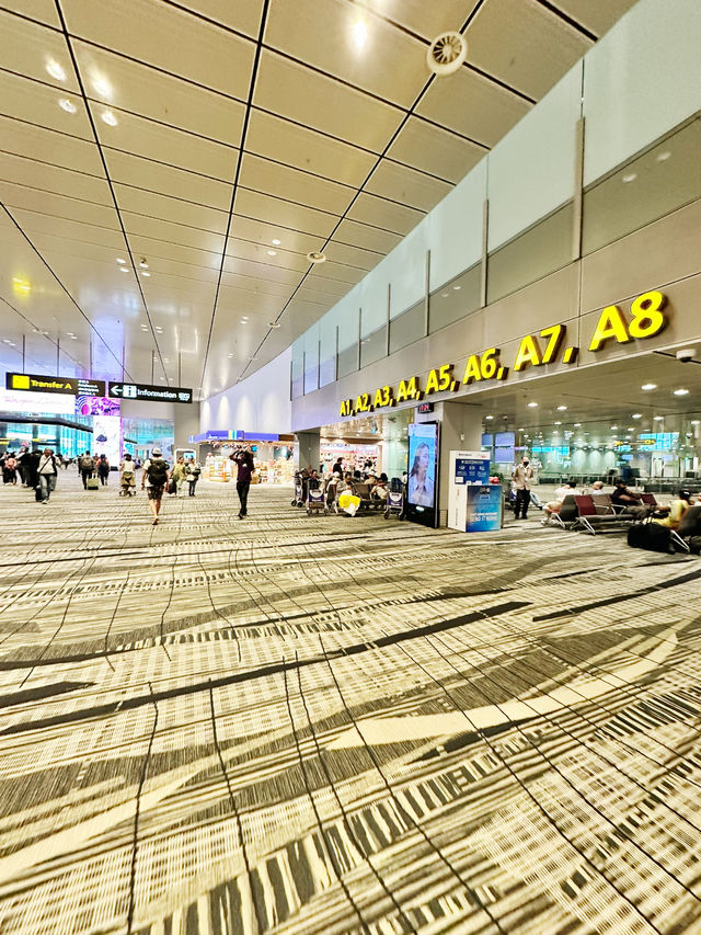 Glamour in Transit: Louis Vuitton & Bacha Coffee at Changi T3 Airside