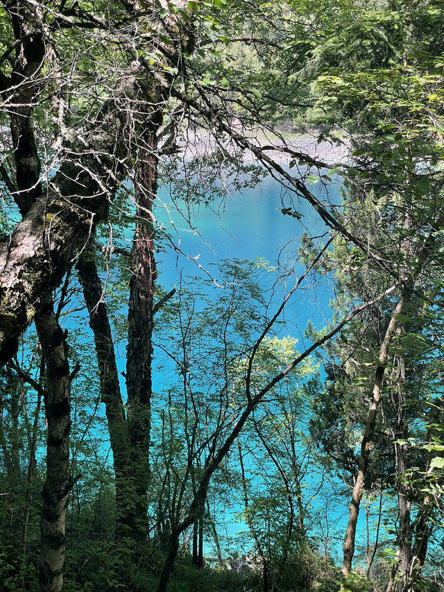 九寨溝：人間瑤池的夢幻仙境