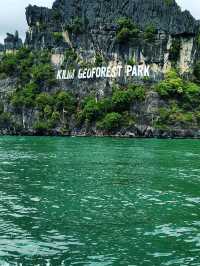 Cruising Through Nature’s Secret Labyrinth
