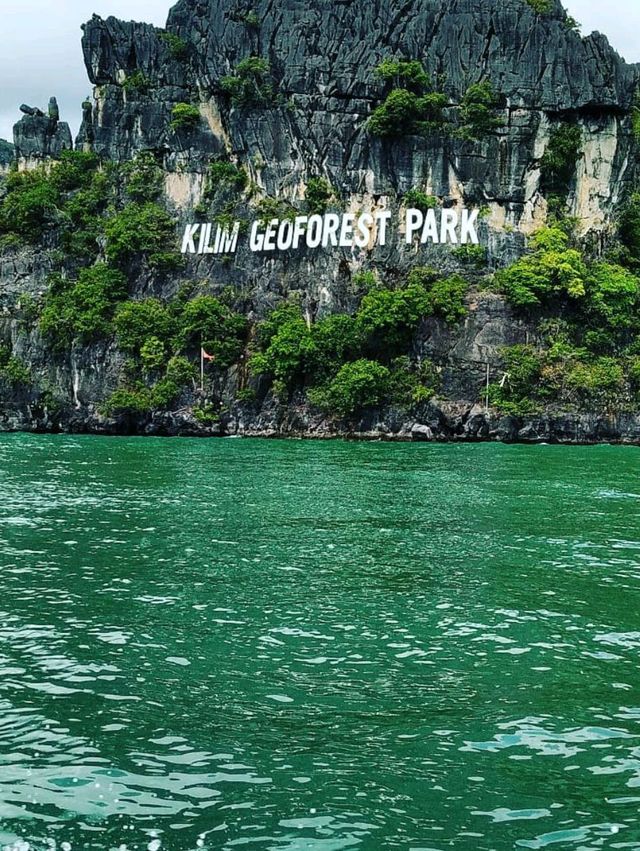 Cruising Through Nature’s Secret Labyrinth