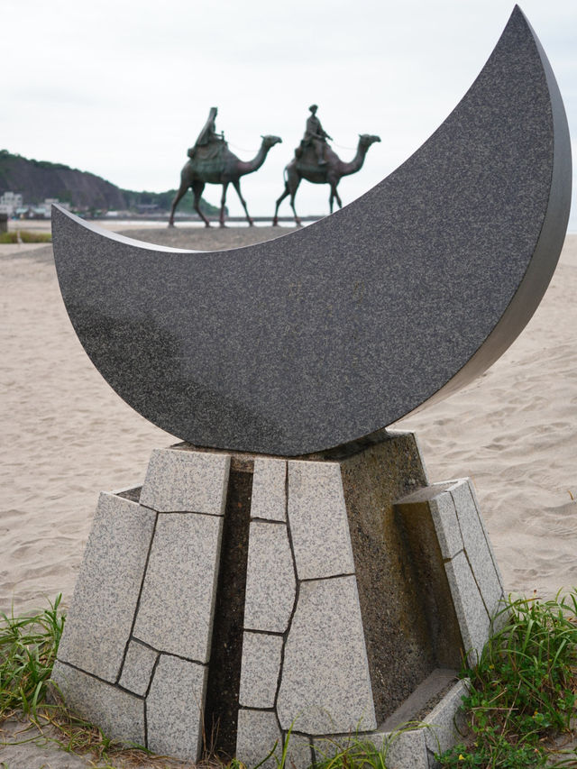 【千葉】 海岸にラクダ？ 絶景スポット