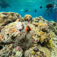 Bunaken Marine Park, North Sulawesi