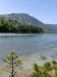 Turquoise Waters and Pine Forests by Kanas Lake