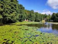 Forest Feels & Cat Surprises at Zelenogradsk City Park