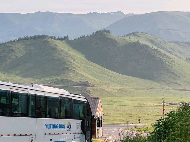 The Birch Forest Resort Hotel: A Tranquil Haven in the Mountains