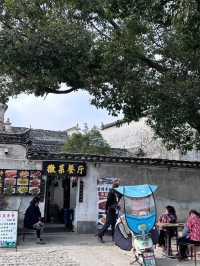 Lights, Legends, and Lanterns: Inside Hongcun