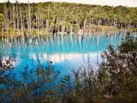 Shirogane Blue Pond: Hokkaido’s Mystical Chromatic Wonder – A Solo Traveler’s Dream"** 🔵🌲
