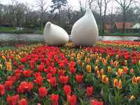 【Keukenhof／キューケンホフ｜“世界最大級のチューリップ庭園”】