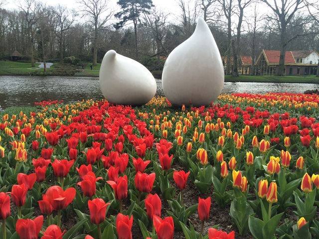 【Keukenhof／キューケンホフ｜“世界最大級のチューリップ庭園”】